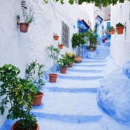 Casa Plasa Grande Chefchaouen Bagian luar foto